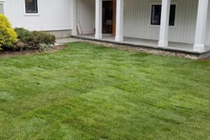 A beautiful new lawn installation by Willie C. & Sons Landscaping.