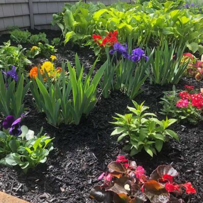 A bright, colorful flower garden with fresh mulch created by Willie C. & Sons Landscaping for a residential customer.