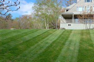 Willie C. & Sons Landscaping transformed this lovely residential yard with a new lawn installation.