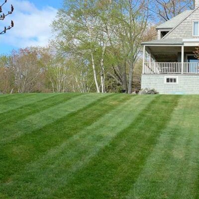 Willie C. & Sons Landscaping transformed this lovely residential yard with a new lawn installation.