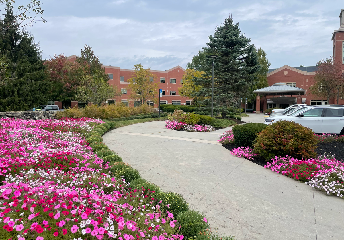 fine-gardening-photo-1