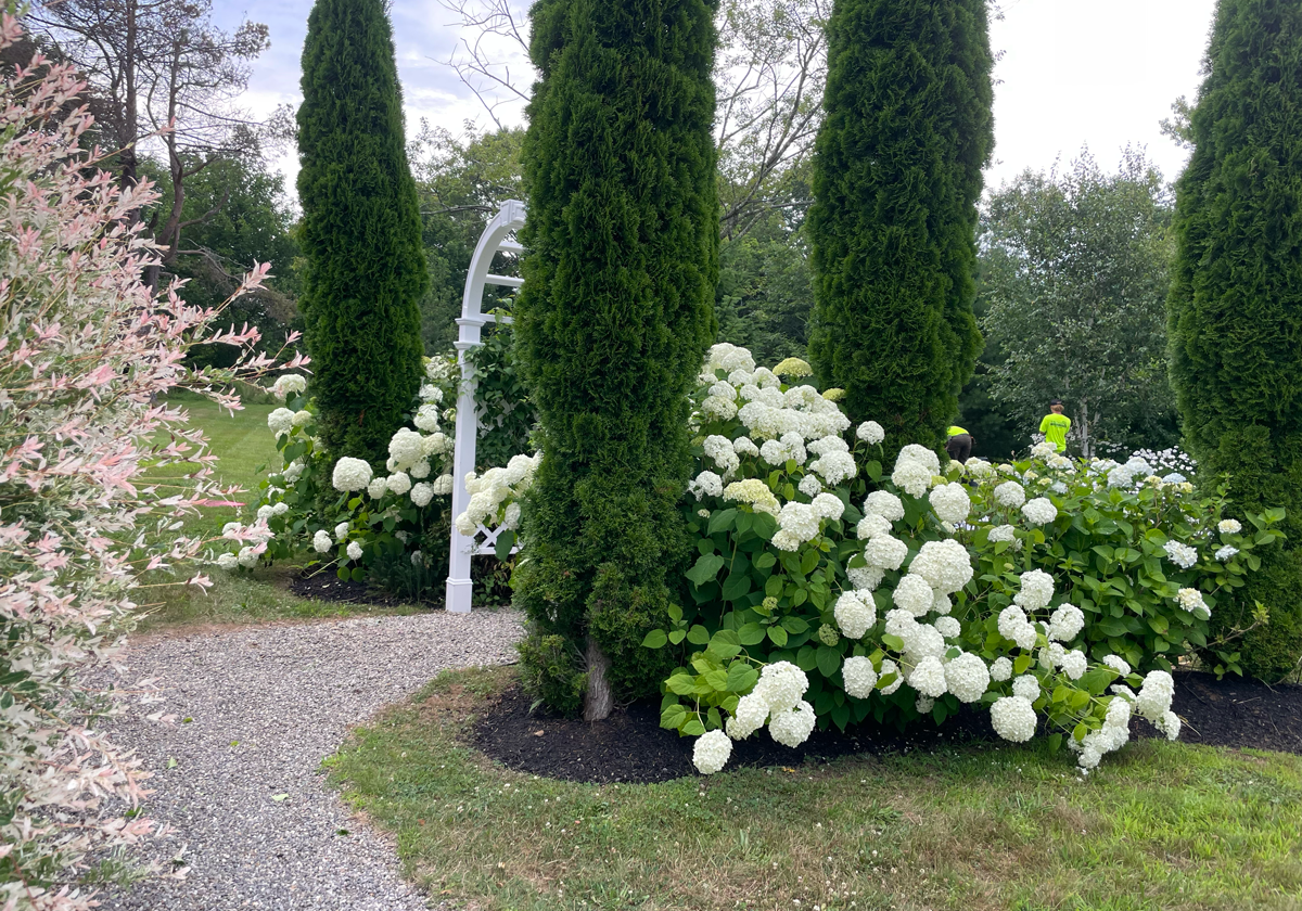 fine-gardening-photo-2